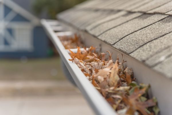 Leaf Barrier Installation in Lees Summit